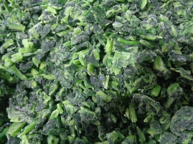 Frozen Vegetables Frozen Chopped IQF Spinach