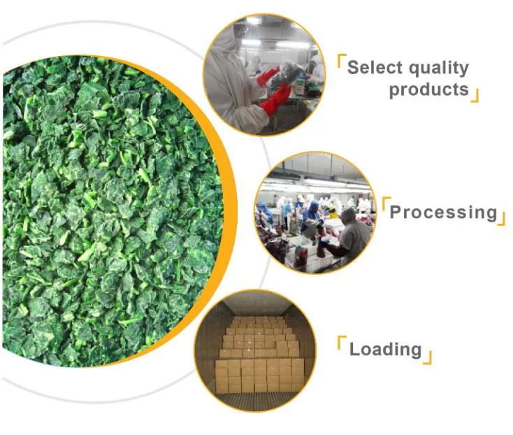 Bulk Style Time Cube Packing Organic Air Factory Price IQF Fresh Wholesale Frozen Spinach